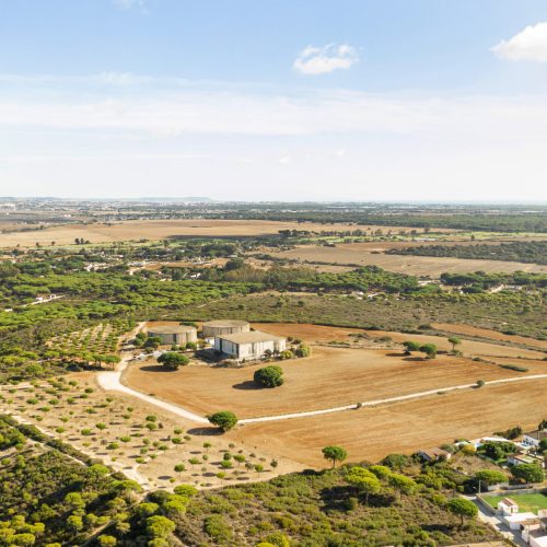 aerial-view-rural-landscape-crops-field